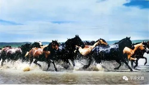 甘肃一座小城，记住了这位拯救大唐国运的异国人