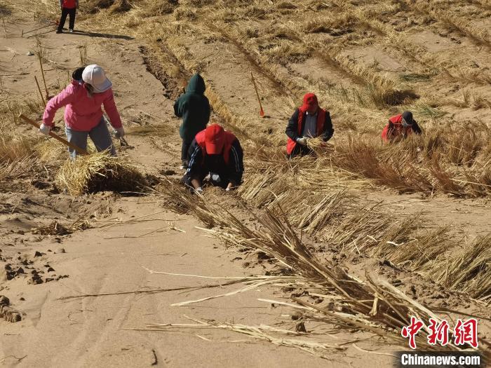 甘肅鼓勵人才下基層為艱苦邊遠地區技術人才單列崗位