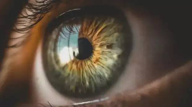 死人眼睛竟能复活？Nature：死后5小时捐赠者视网膜恢复功能