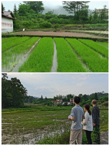 南昌大学二附院驻村工作队推动乡村振兴工作迈上新台阶