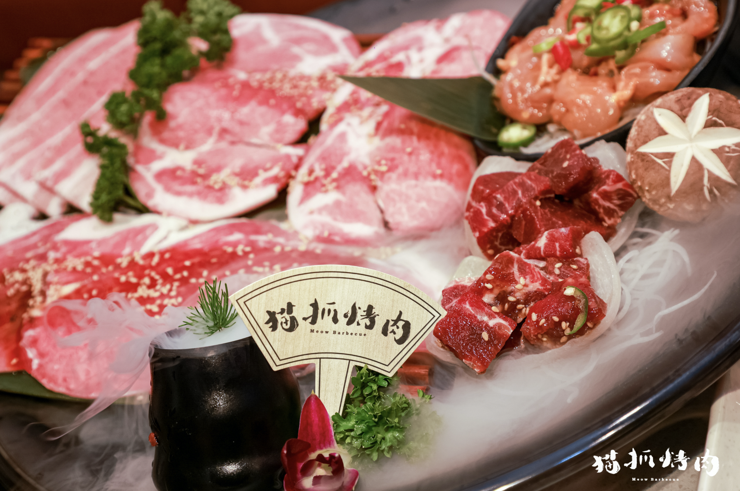 猫咪控福音火遍北上广的超萌猫抓烤肉亮相深圳