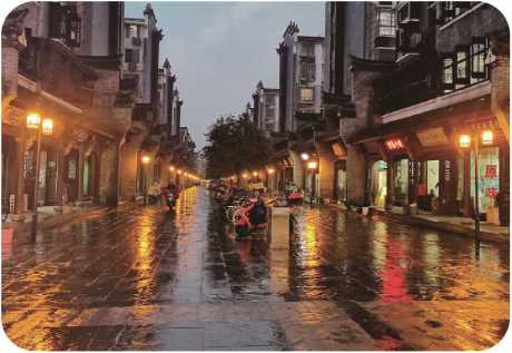 “中国芯”LED景观灯成为华城门村(习家村)步行街的亮丽风景