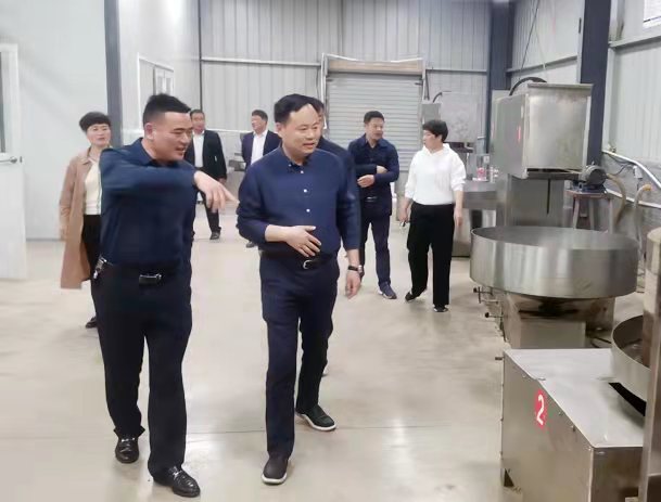 淮北市杜集区委副书记代区长史庆超调研杜集区乡村振兴项目推进工作