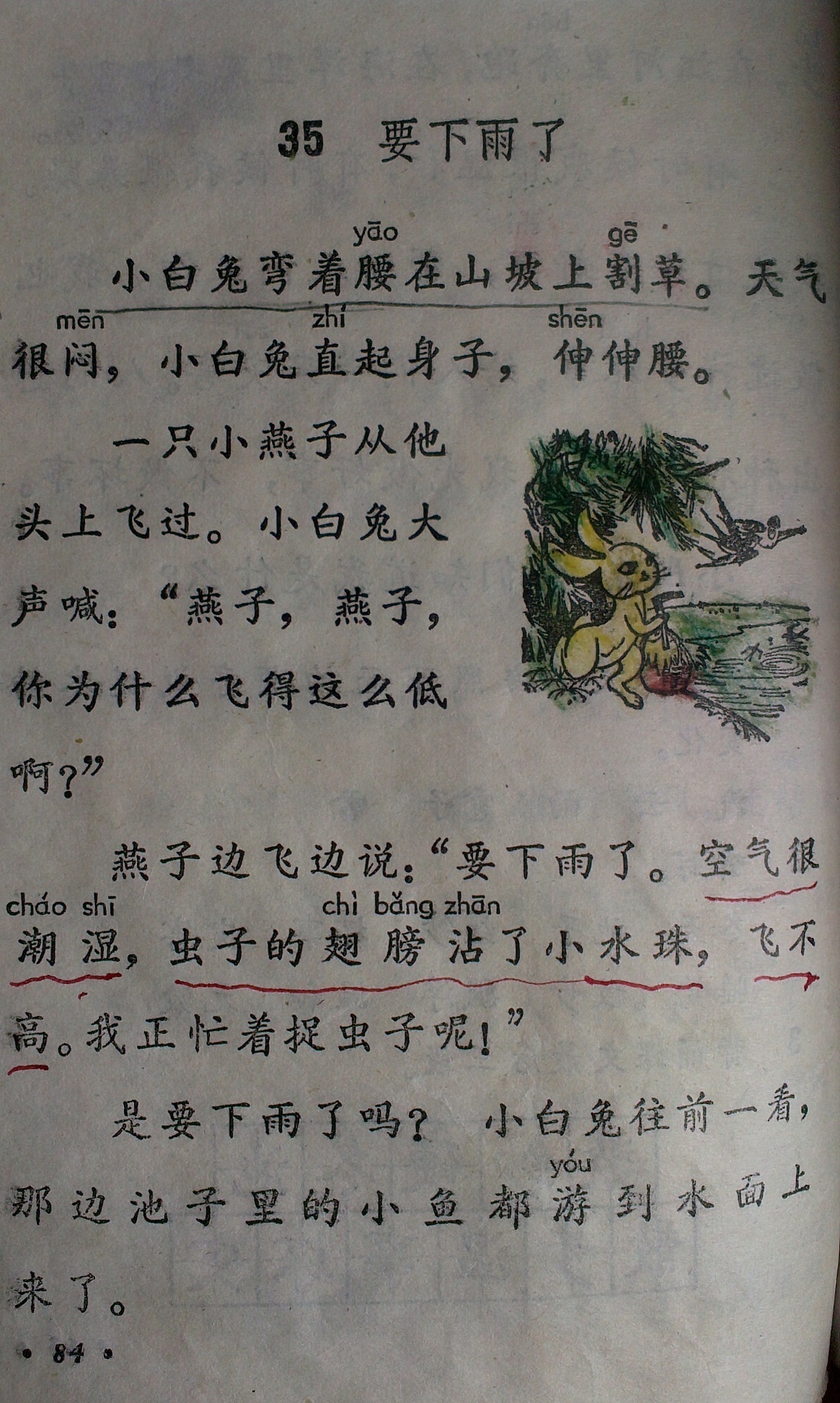 图:陈晓斌珍藏的小学课本,兔子故事的功课《要下雨了》1.