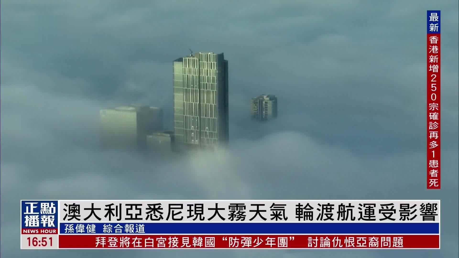 澳大利亚悉尼现大雾天气 轮渡航运受影响