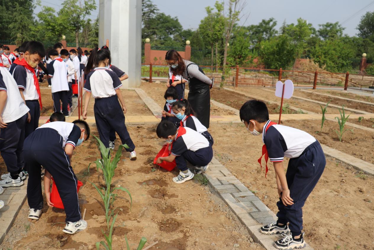 传承耕读文化践行劳动育人漯河市西湖学校劳动教育基地揭牌
