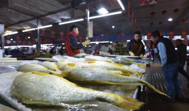 固定攤位965個,是山東省最大的綜合性水產品批發市場,經營海水魚,淡水