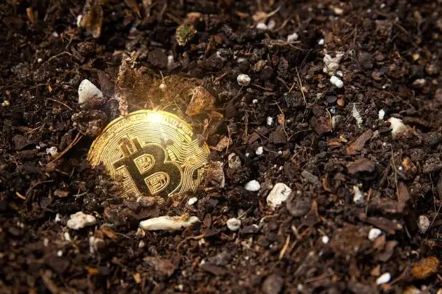 比特矿业第一季度“生产”166枚比特币