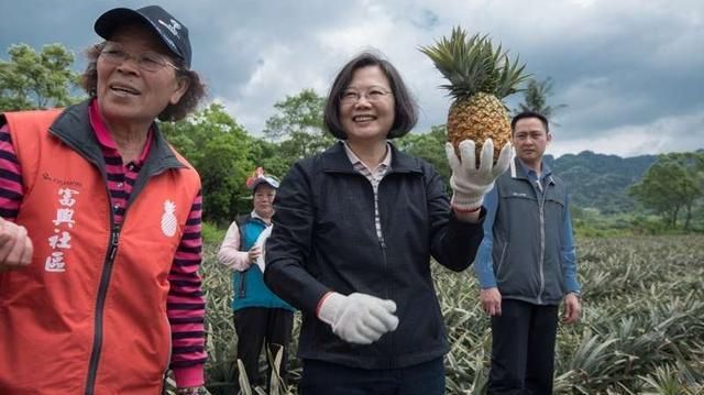 黑凤梨？台湾外销日本凤梨被批品质低劣 网友直言“民进党快去告日本政府”_凤凰网