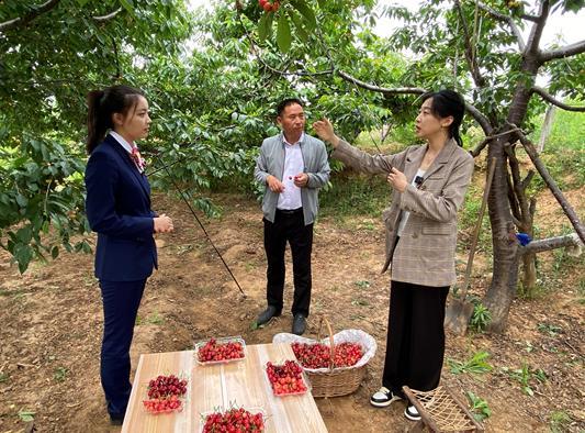 直播助农云带货，联通APP显神通 ——“直播带货”开启泰安岱岳联通助农新模式