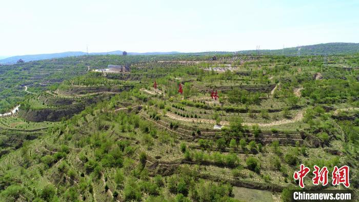 鲁甘东西部协作生态林黄土塬打造“绿色空间”换新颜