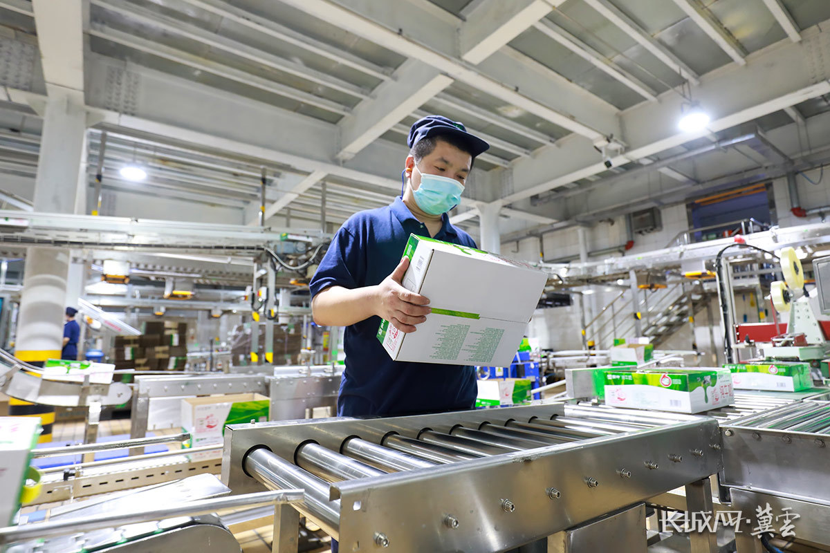 工人在位于唐山滦南县的蒙牛乳业(滦南)有限责任公司生产线上紧张工作