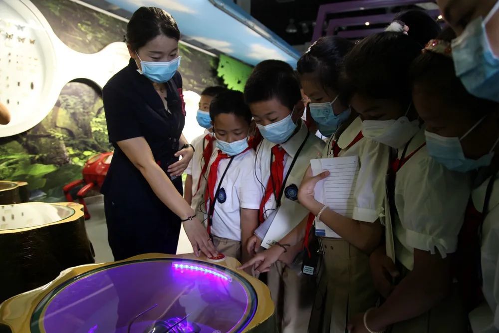 “小昆虫 大科技”进校园 让小学生感受科技的魅力