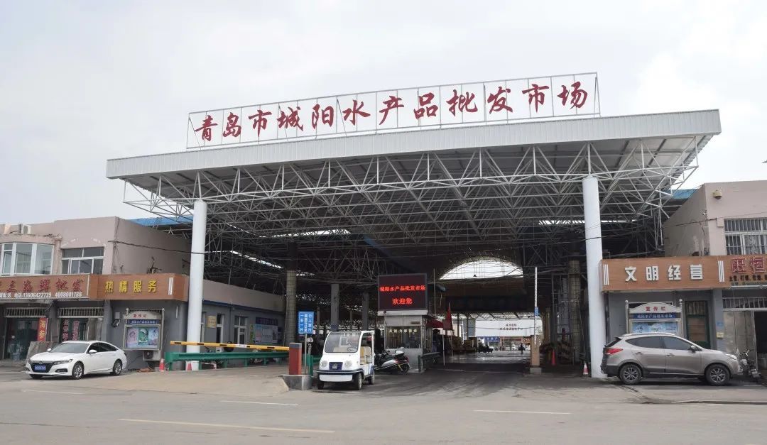 第十七届青岛城阳红岛蛤蜊节开幕!