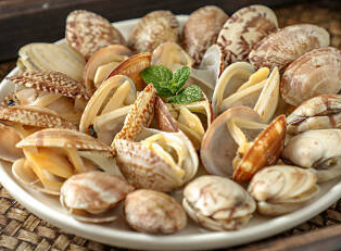 第十七届青岛城阳红岛蛤蜊节开幕!