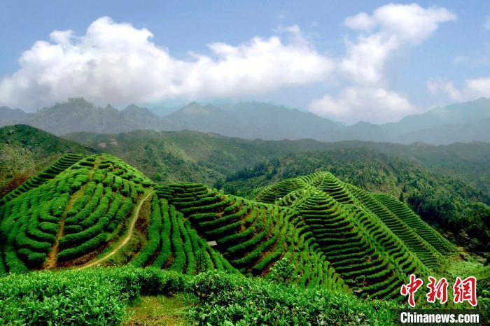 粤桂联手打造珠江上游金秀大瑶山"绿色银行"凤凰网广东_凤凰网