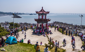 第十七届青岛城阳红岛蛤蜊节开幕!