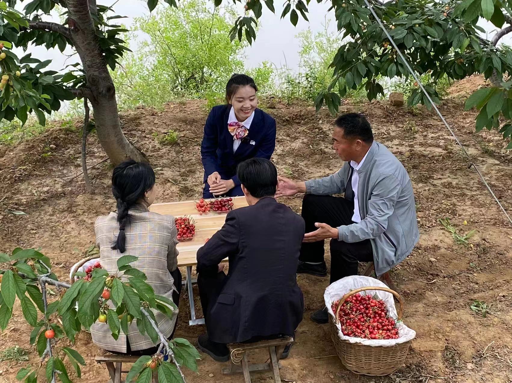 直播助农云带货，联通APP显神通 ——“直播带货”开启泰安岱岳联通助农新模式