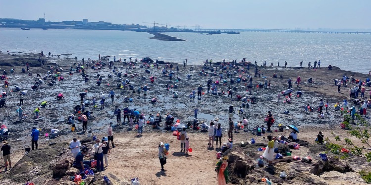 红岛蛤蜊节欢乐启幕青岛城阳打造全域旅游时尚化发展典范