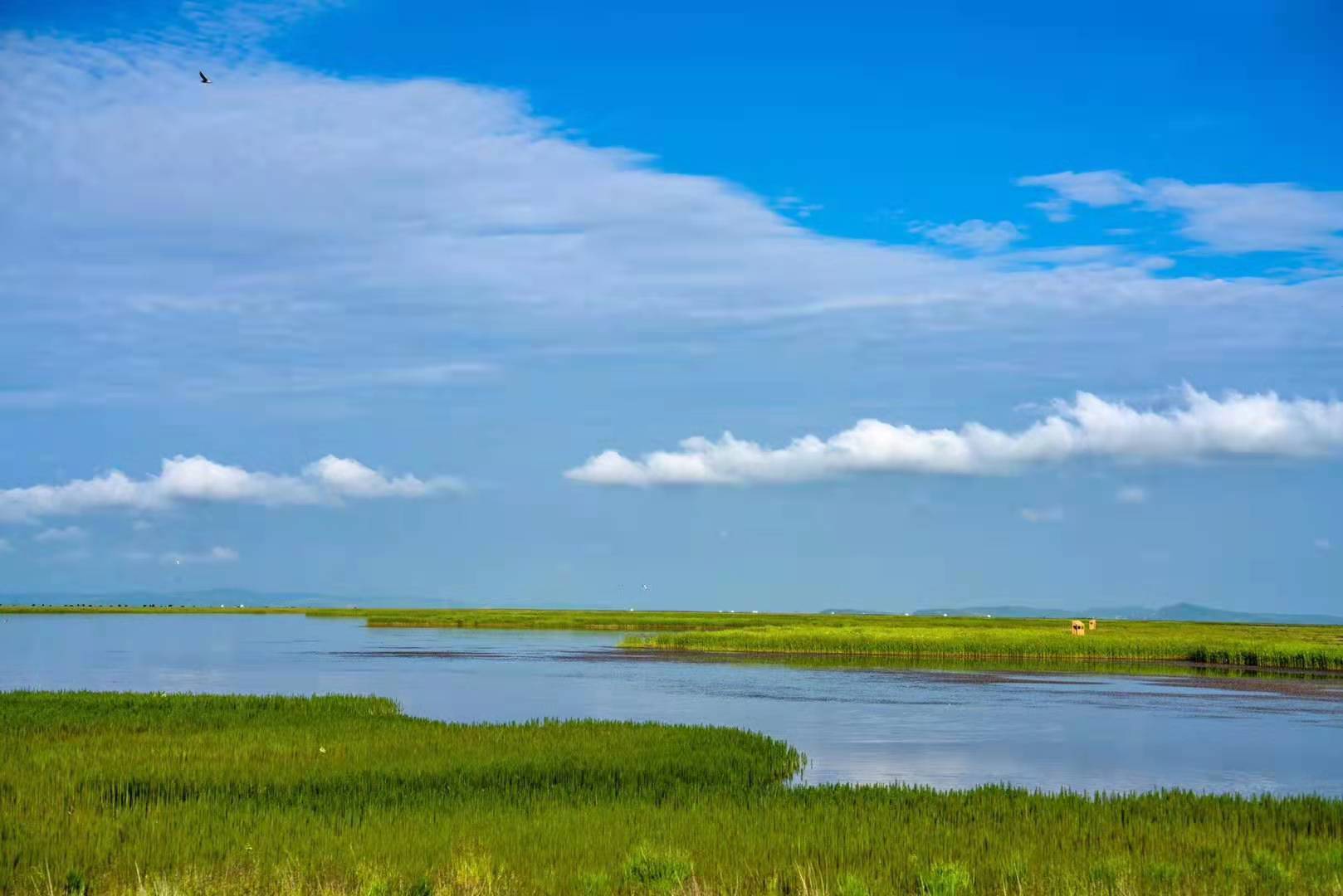 若尔盖湿地一景（省林草局供图）