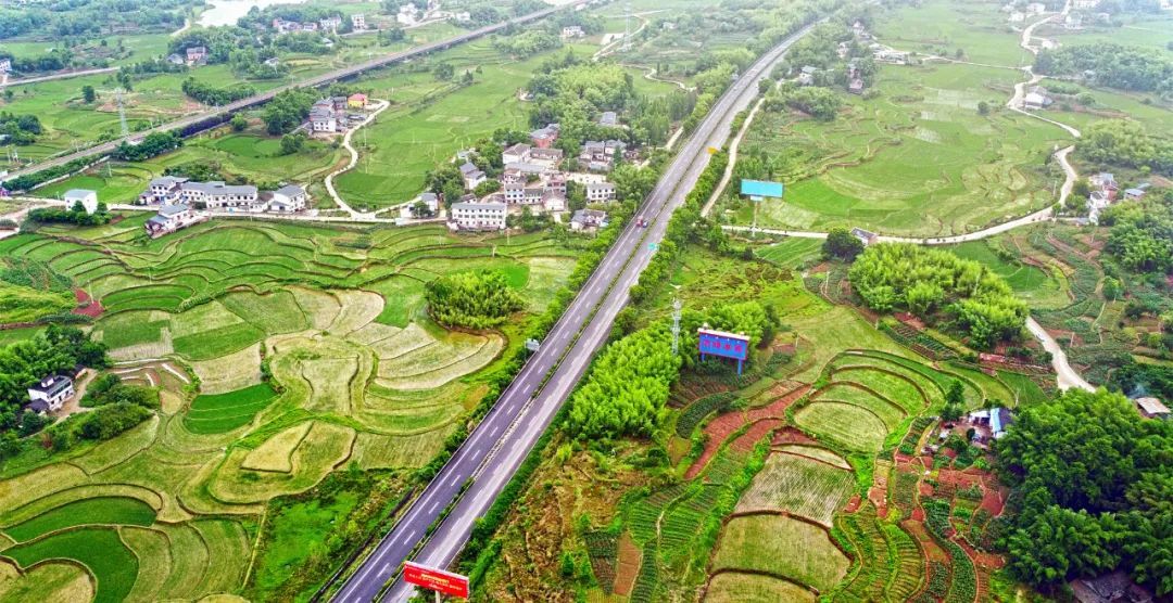 无人机拍摄的双桂街道黄泥村田园风光。