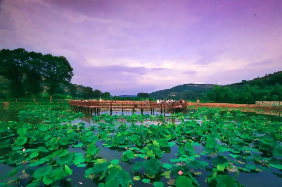 76印象·义渠莲花池76