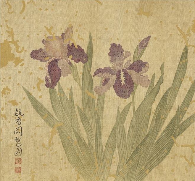 清 恽寿平 鸢尾 本幅选自台北故宫博物院藏清恽寿平"画花卉册"