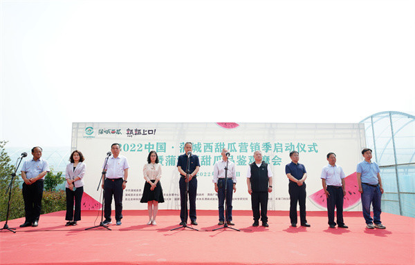2022中国·蒲城西甜瓜营销季正式启动凤凰网陕西_凤凰网