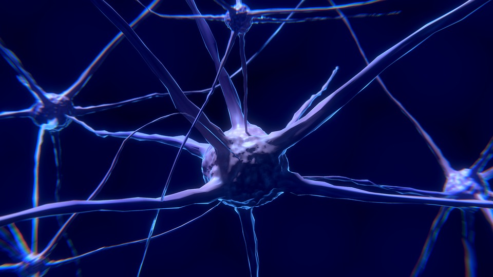 神经形态计算更进一步 科学家实现人工模拟神经元和突触