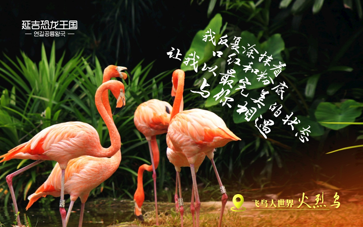 致所有恐龙王国的粉丝 注定相逢 何惧等待