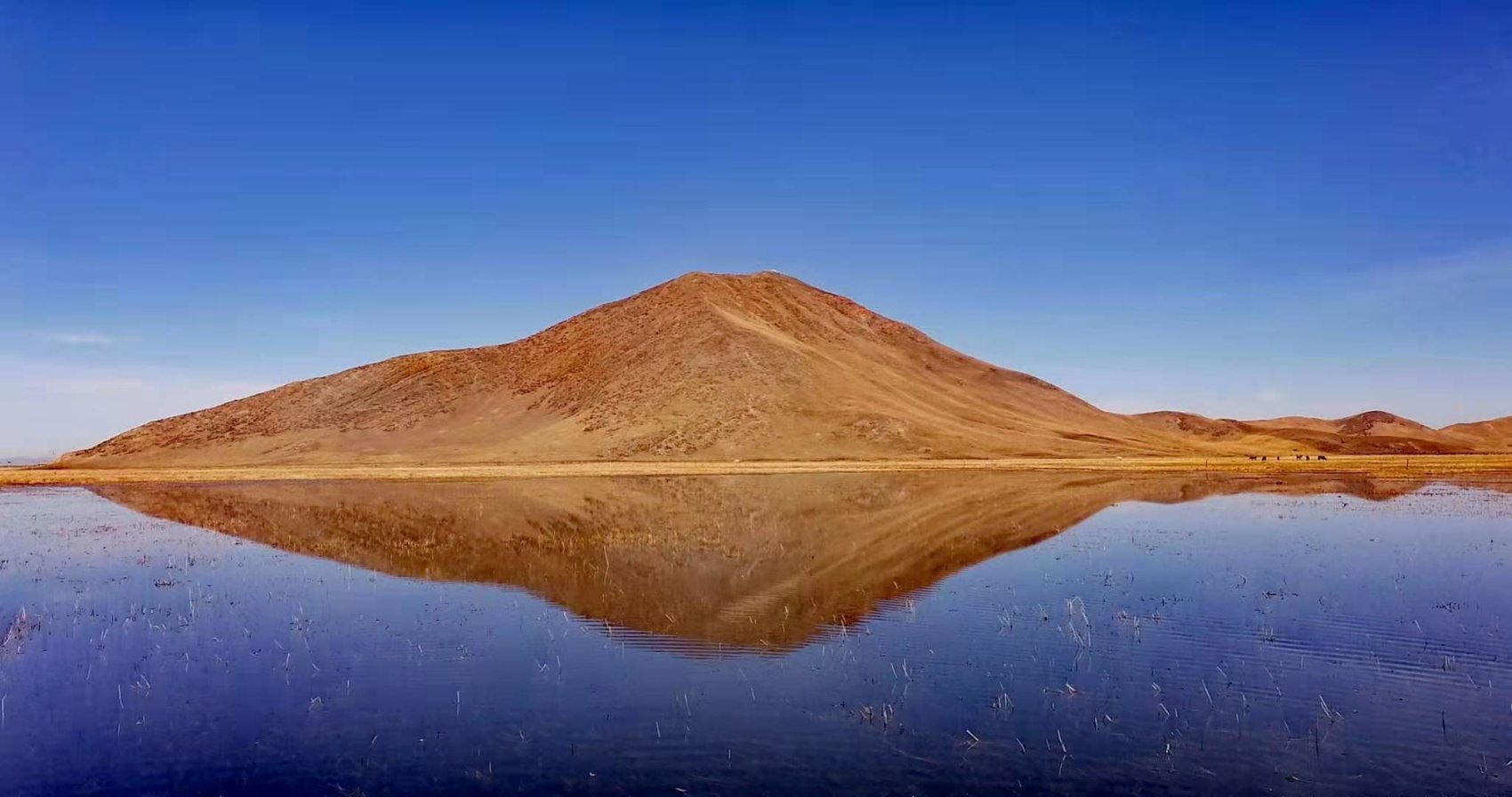 若尔盖湿地一景（省林草局供图）