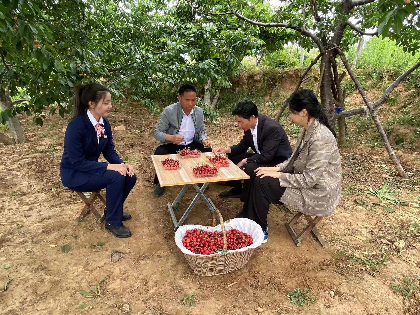 直播助农云带货，联通APP显神通 ——“直播带货”开启泰安岱岳联通助农新模式
