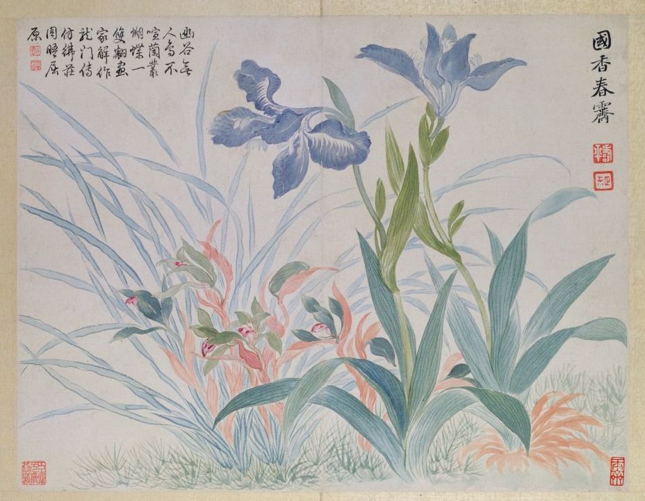 清 恽寿平 鸢尾 本幅选自故宫博物院藏恽寿平"山水花鸟图册"