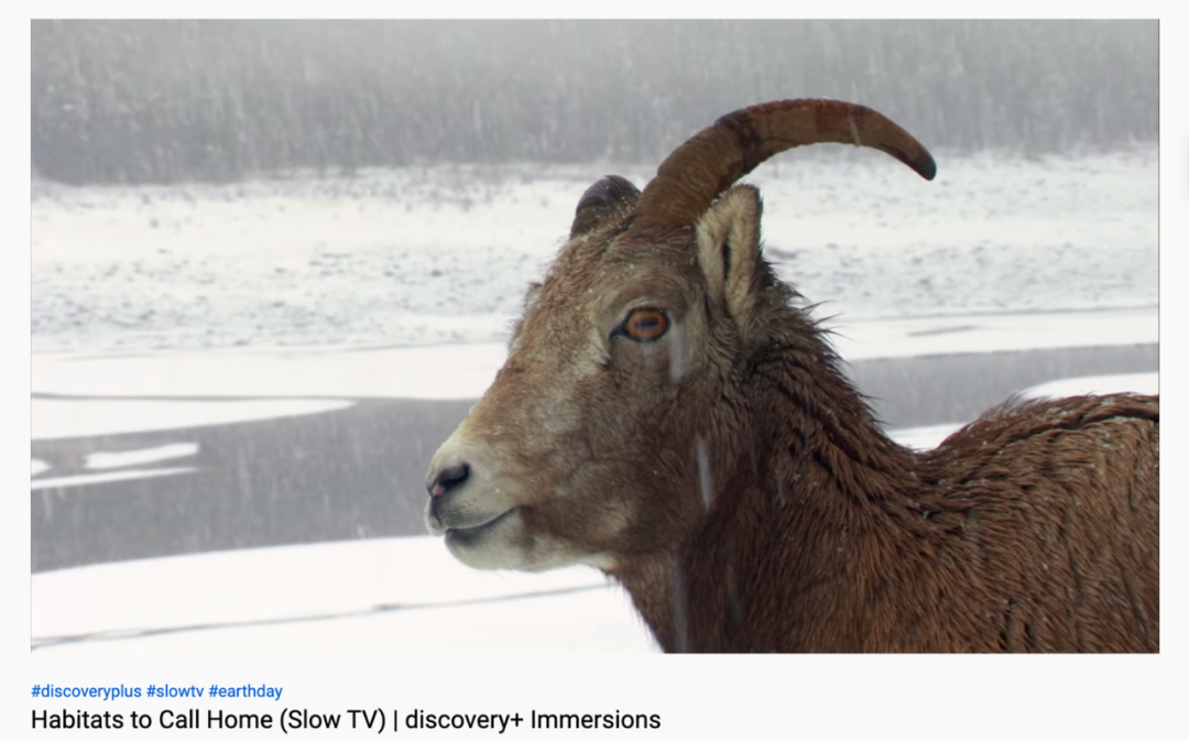 Discovery Channel的SlowTV