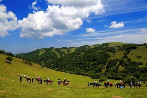 binary_middle (12).jpg