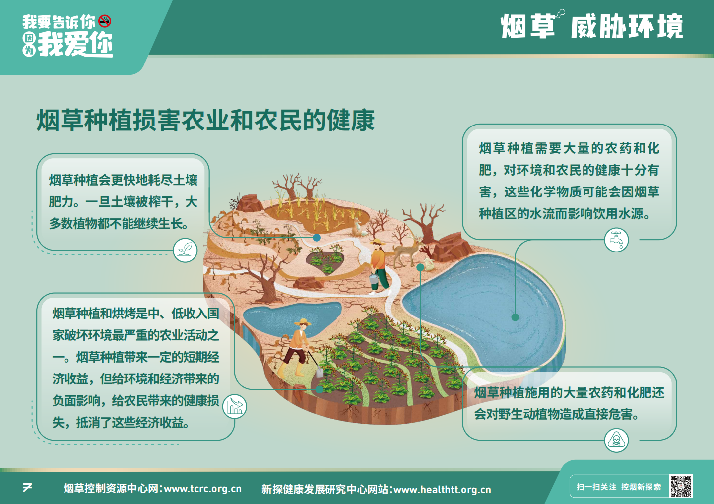 烟草威胁环境——给戒烟多一个理由