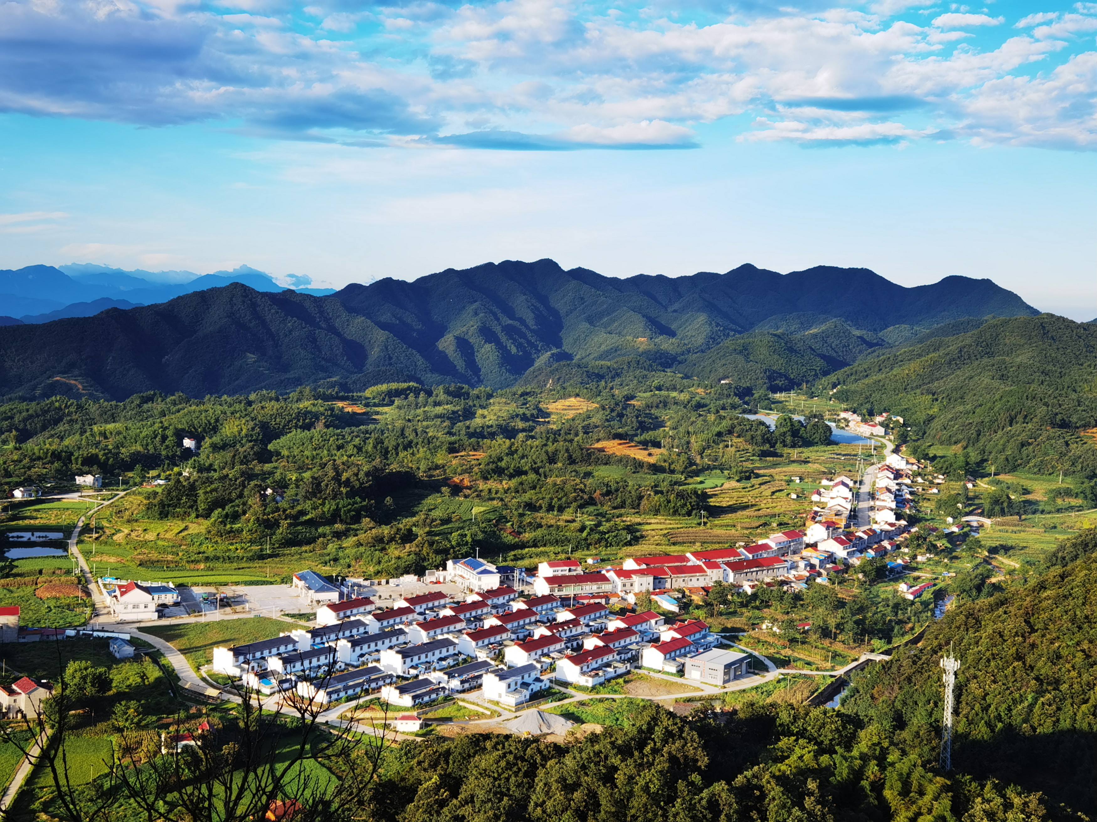 安徽金寨县入选农产品数字化百强县榜单