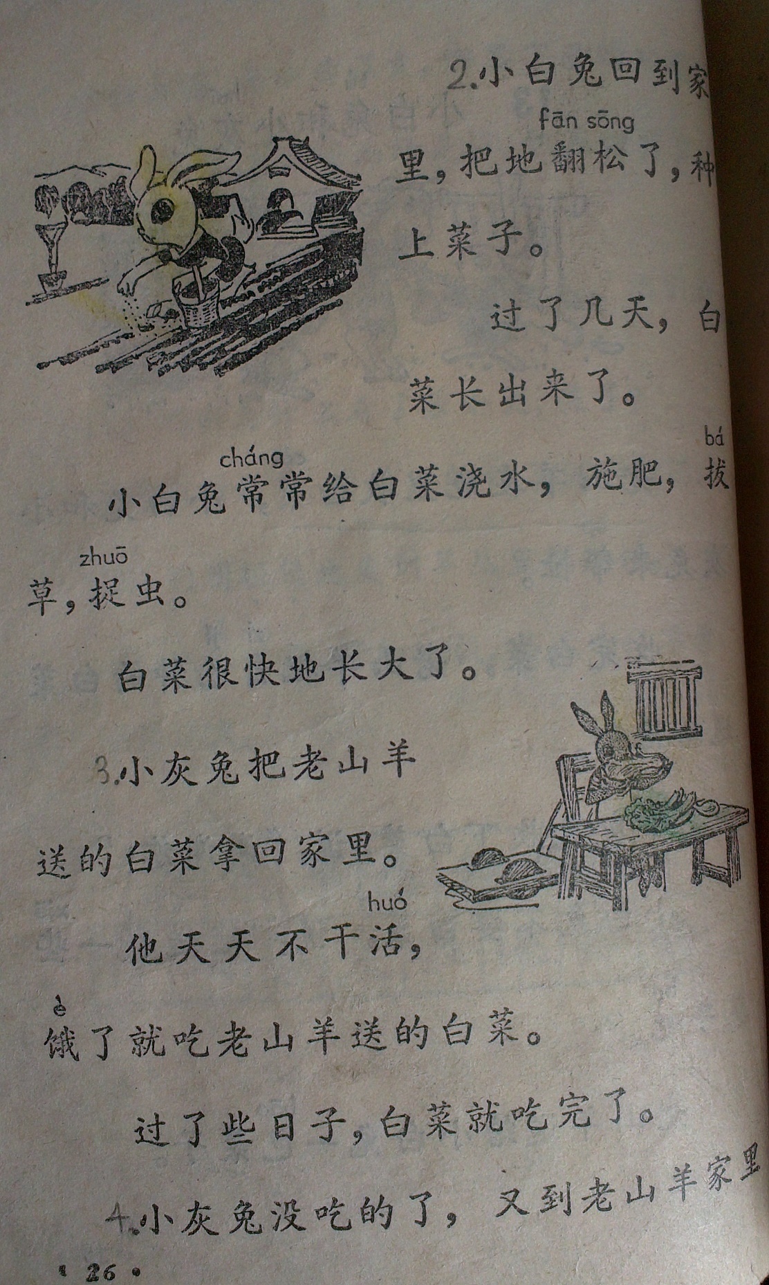 陈晓斌珍藏的小学课本，兔子故事的课文《小白兔和小灰兔》2。