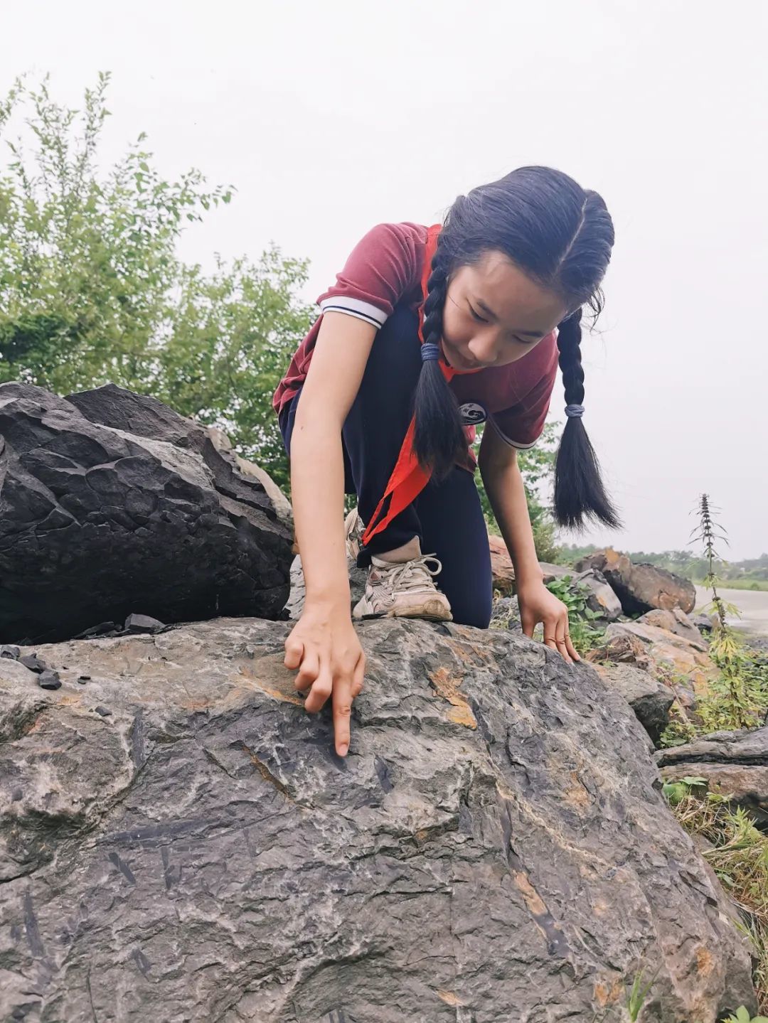 发现者带记者识别石堆中化石分布的位置