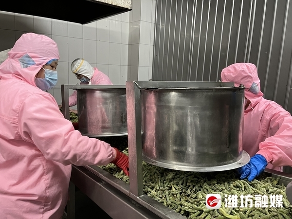 寿光蔬菜产业集团食品有限公司预制菜生产线。潍坊日报社全媒体记者张振民摄 （资料图）