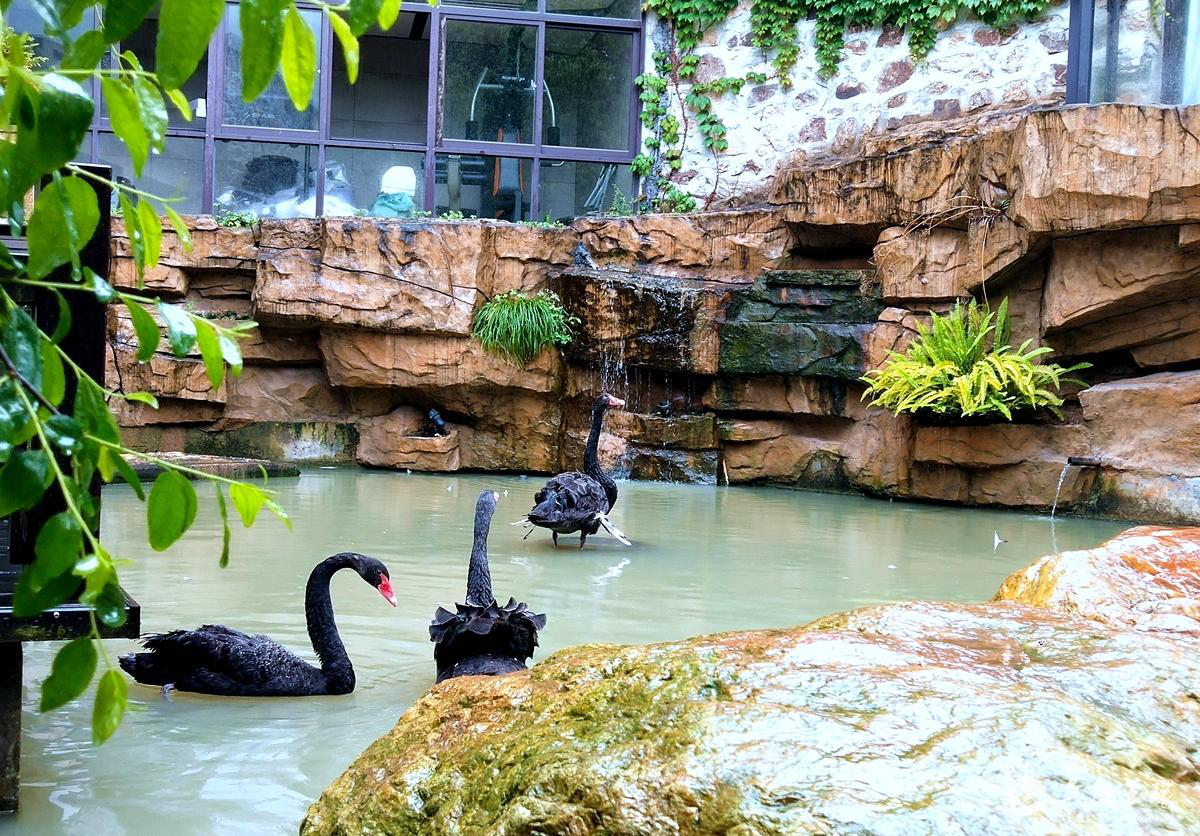 台州玉环市的共富密码