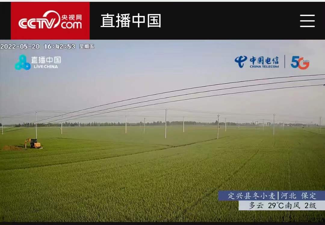 中国电信定兴分公司助力央视网搭建冬小麦的慢直播点位