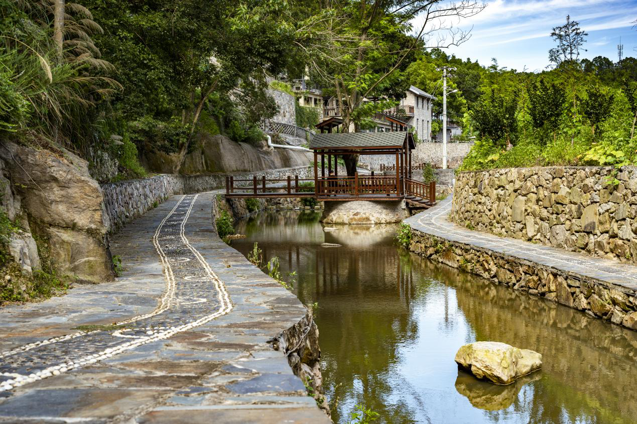 美丽资源解锁美丽经济——玉环市沙门镇水桶岙村的共富密码