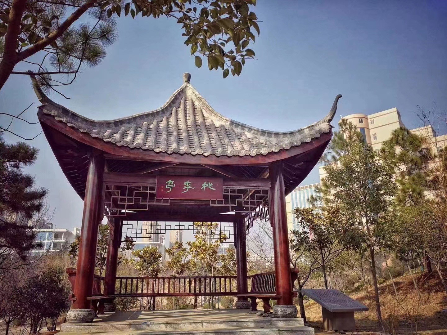 明月湖畔的“桃李亭”