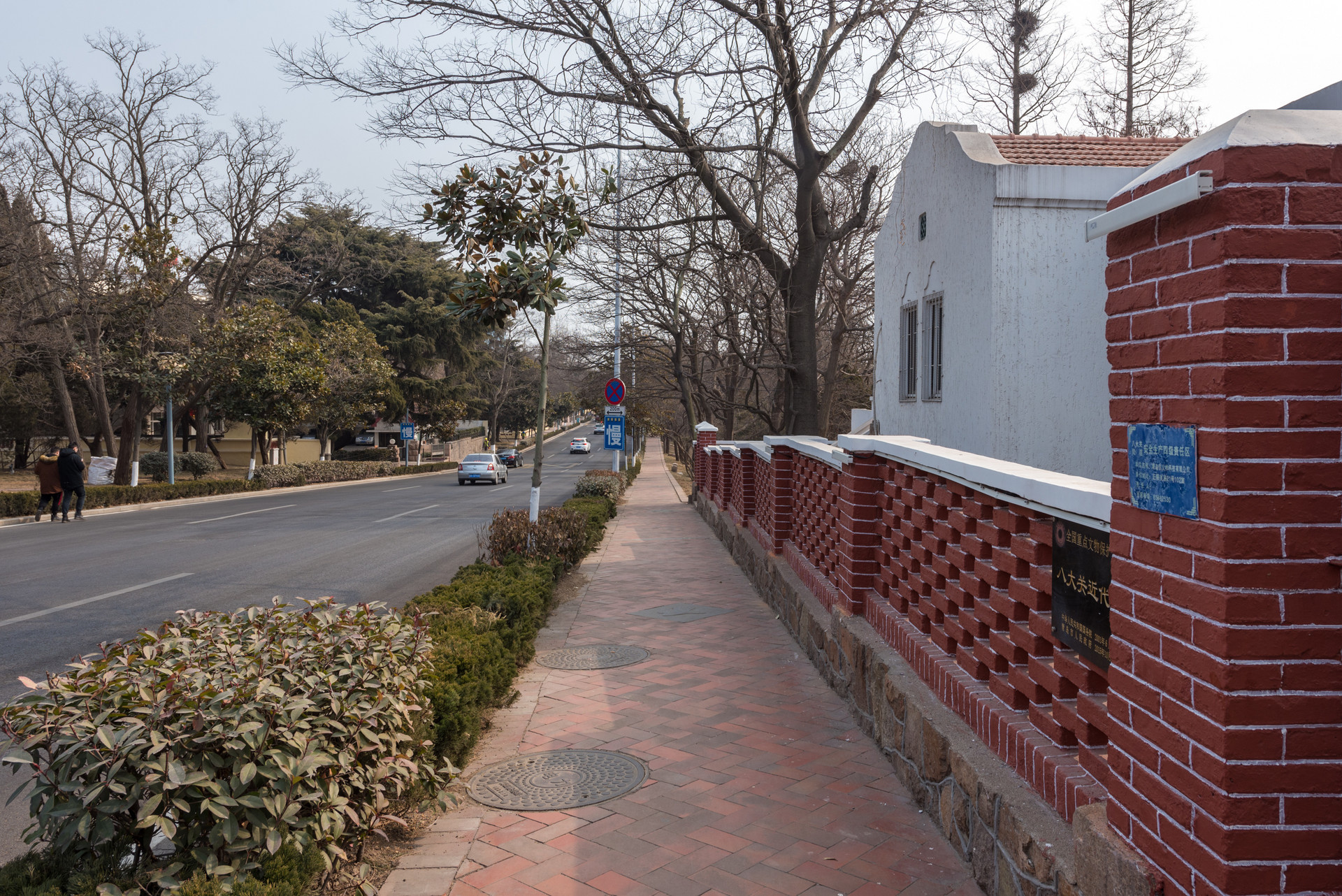 在线打开青岛八大关的夏天，我爱了！