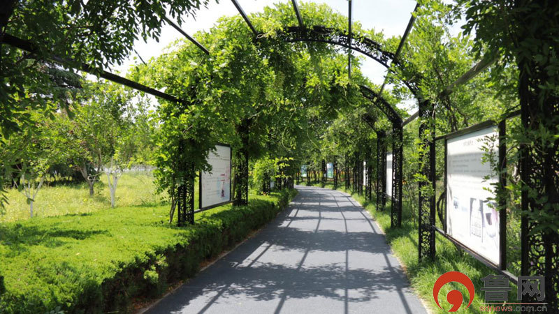 “这里是日照”走进莒县：成长的莒县 日新的莒县