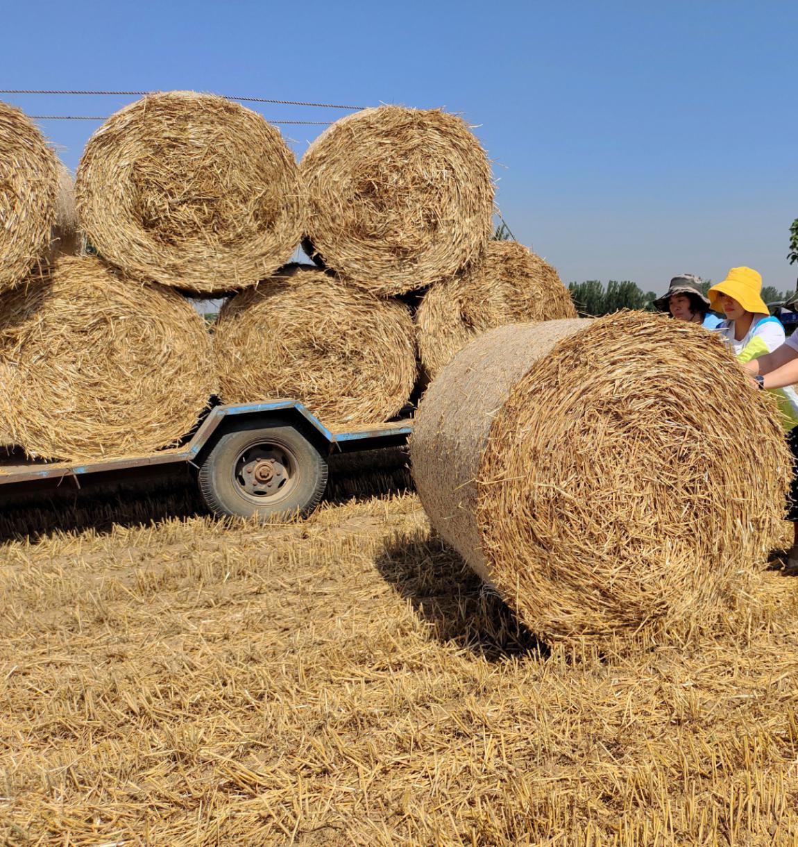 宁陵县刘楼乡秸秆打捆变废为宝促增收