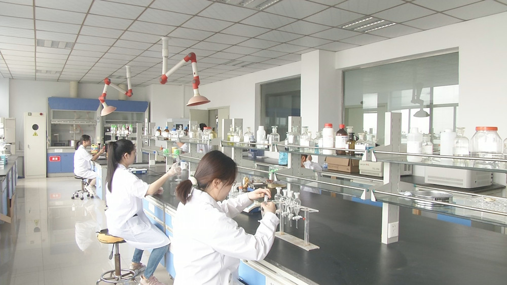 图为桐城国家高分子材料质量监督检验中心检测实验室。