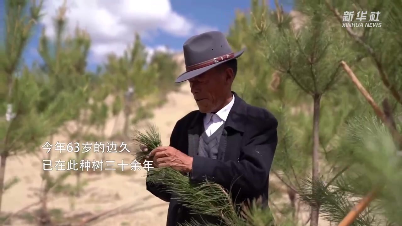 雅鲁藏布江畔：“孤勇者”可成林