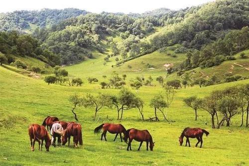 binary_middle (9).jpg